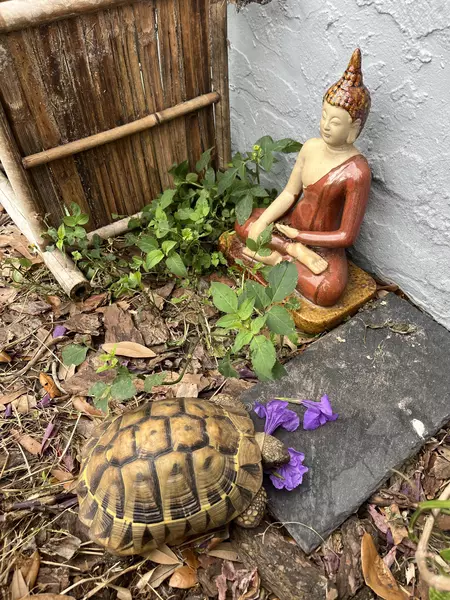 Coliving in Seminole Heights - North Tampa, Tampa