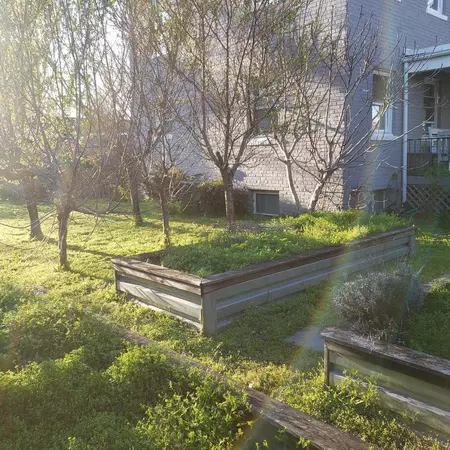 Coliving in Kingman Park - Washington Northeast, Washington DC