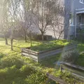 Coliving in Kingman Park - NE DC, Washington DC