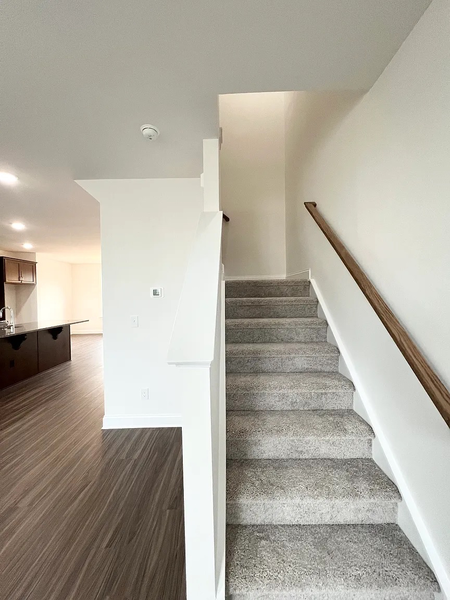 Coliving in Mallard Creek - Withrow Downs - North Charlotte, Charlotte