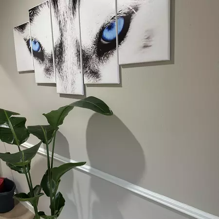 Coliving in Westchase - West Houston, Houston
