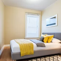 Coliving in Avon Hill - Cambridge, Boston