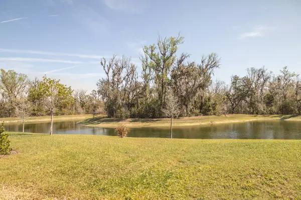 Coliving in Zephyrhills - North Tampa, Tampa