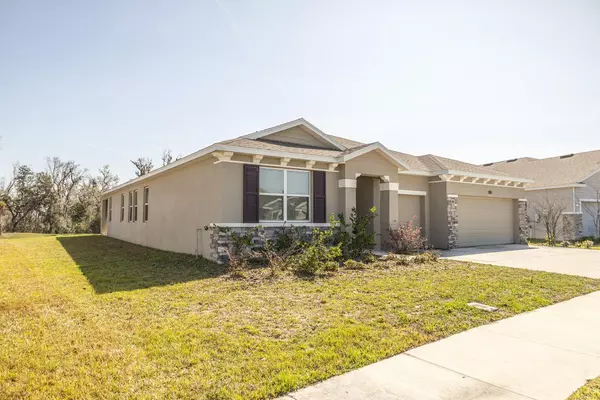 Coliving in Zephyrhills - North Tampa, Tampa