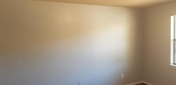 Coliving in North Austin Civic Association - North Austin, Austin
