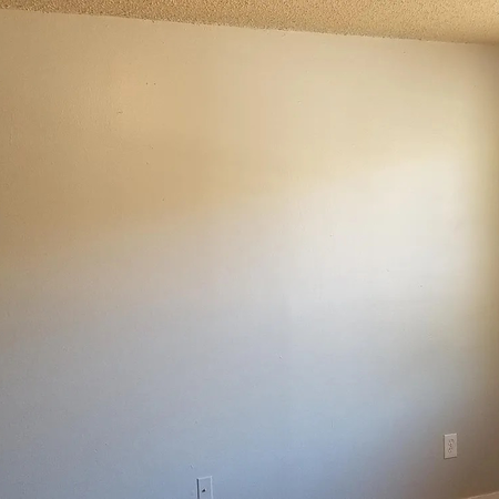 Coliving in North Austin Civic Association - North Austin, Austin