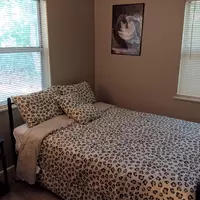 Coliving in San Marco - Southside, Jacksonville