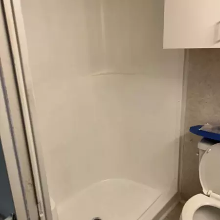 Coliving in Jungle Terrace - Clearwater-St. Petersburg, Tampa