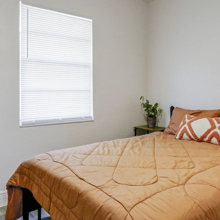 Coliving in Sulphur Springs - North Tampa, Tampa