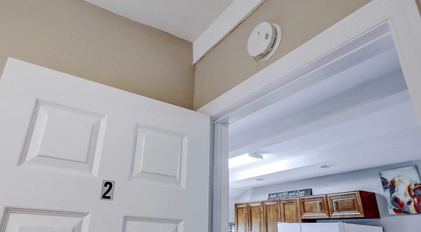 Coliving in Live Oaks Square - East Tampa, Tampa