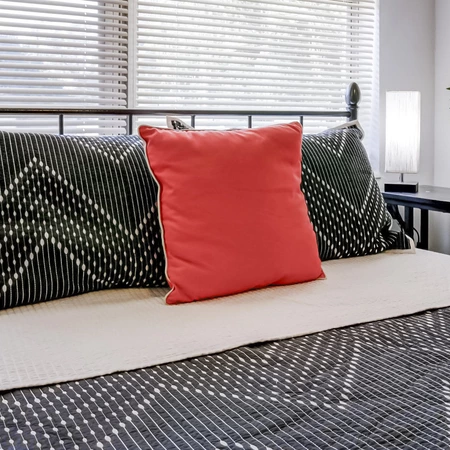Coliving in Sulphur Springs - North Tampa, Tampa