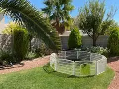 Coliving in Las Vegas - Las Vegas, Las Vegas
