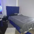 Coliving in Las Vegas - Las Vegas, Las Vegas