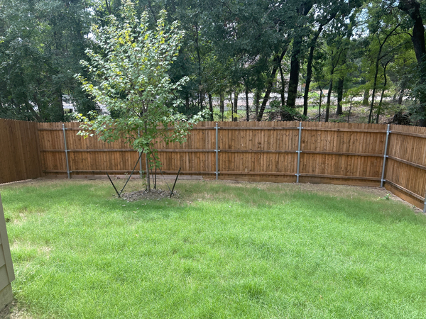 Coliving in Denton - North Dfw, Dallas