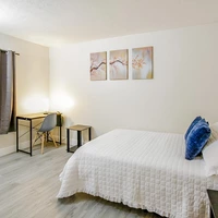 Coliving in University Square - North Tampa, Tampa