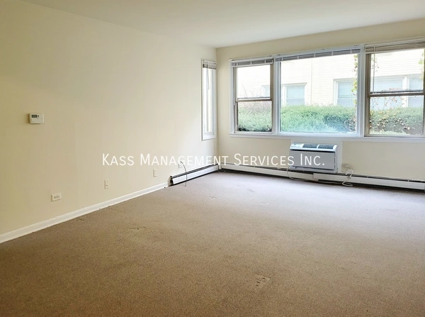 2 bedrooms apartment for rent in Rogers Park - Far North Side, Chicago