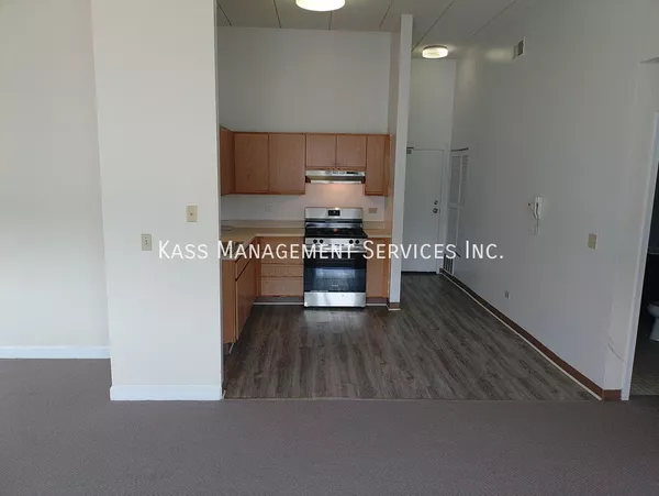2 bedrooms apartment for rent in Fuller Park - South Side, Chicago