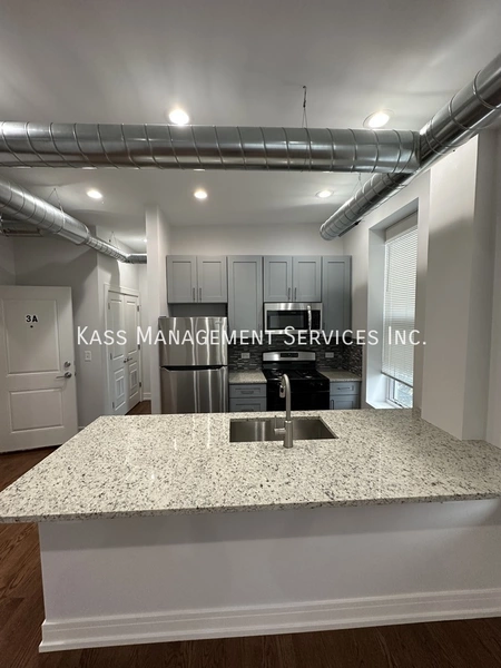 2 bedrooms apartment for rent in West Town - West Side, Chicago