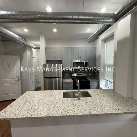 2 bedrooms apartment for rent in West Town - West Side, Chicago