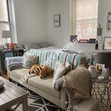 Studio Apartment for rent in East Falls - Nw Philadelphia, Philadelphia