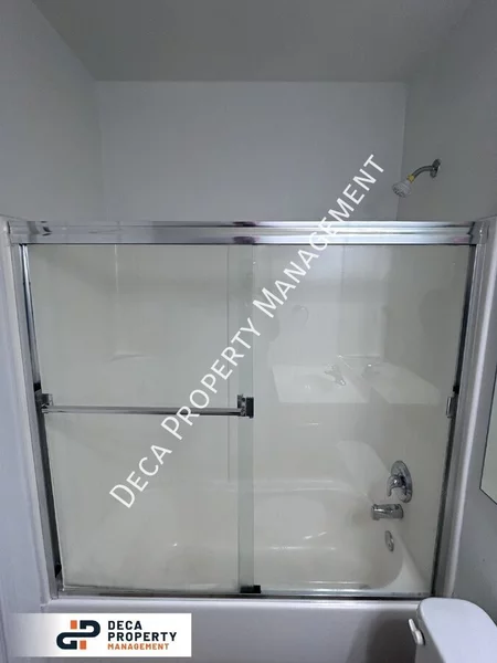 1 bedroom apartment for rent in DeBaliviere Place - West STL, Saint Louis