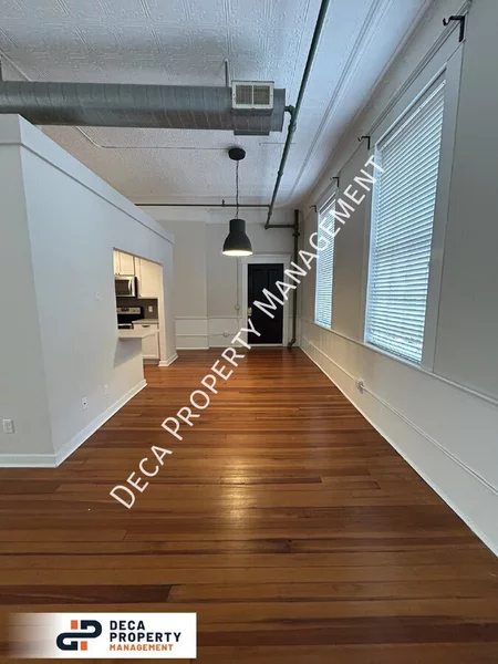 1 bedroom apartment for rent in Soulard - Central STL, Saint Louis