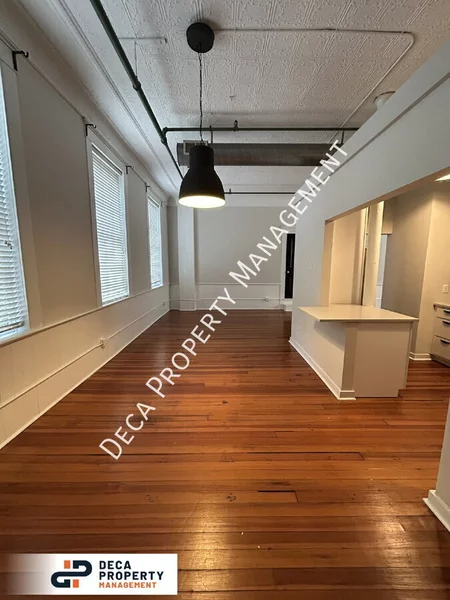 1 bedroom apartment for rent in Soulard - Central STL, Saint Louis
