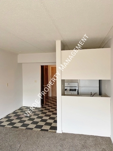 Studio Apartment for rent in Lyndale - Powderhorn, Minneapolis