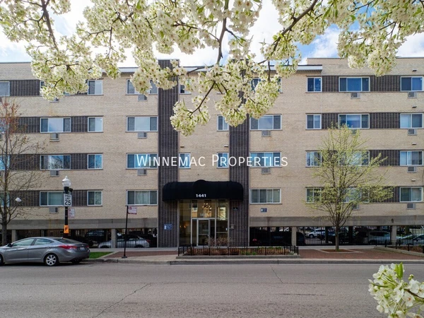 1 bedroom apartment for rent in Rogers Park - Far North Side, Chicago