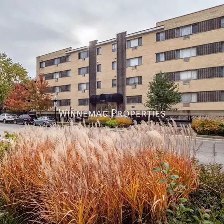 Studio Apartment for rent in Rogers Park - Far North Side, Chicago