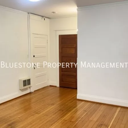 Studio Apartment for rent in Downtown Portland - SW Portland, Portland