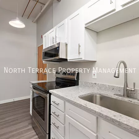 1 bedroom apartment for rent in Downtown Kansas City - KCMO, Kansas City