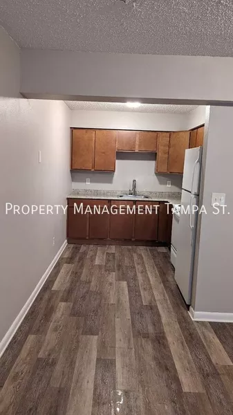 2 bedrooms apartment for rent in University Square - North Tampa, Tampa