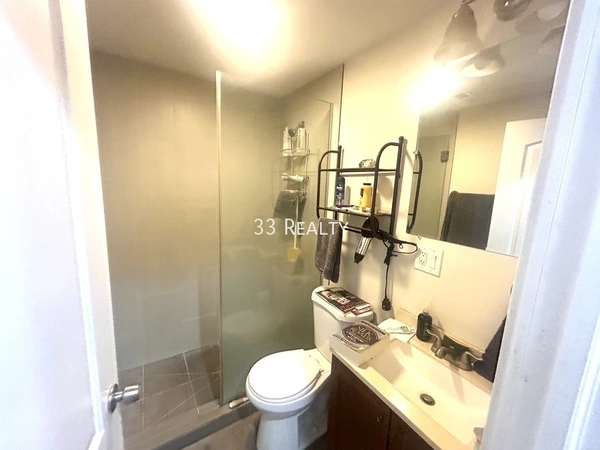 1 bedroom apartment for rent in Gold Coast - Central, Chicago