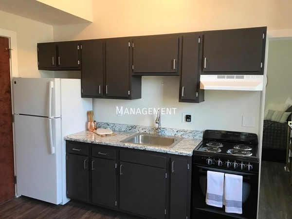 1 bedroom apartment for rent in King-Lincoln Bronzeville - East Columbus, Columbus