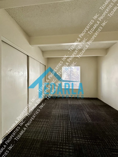 1 bedroom apartment for rent in University Hills - South Denver, Denver