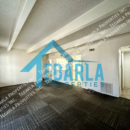 1 bedroom apartment for rent in University Hills - South Denver, Denver