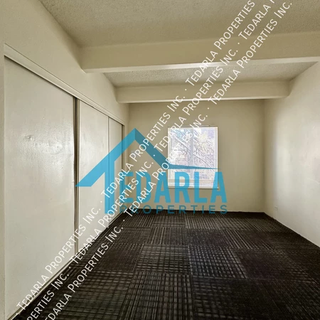 1 bedroom apartment for rent in University Hills - South Denver, Denver