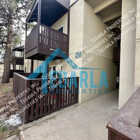 1 bedroom apartment for rent in University Hills - South Denver, Denver