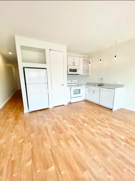 1 bedroom apartment for rent in Downtown Kansas City - KCMO, Kansas City