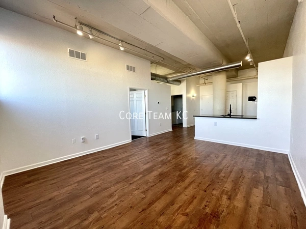 1 bedroom apartment for rent in Downtown Kansas City - KCMO, Kansas City