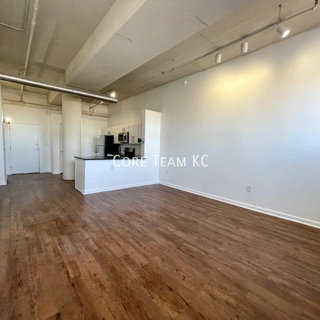 1 bedroom apartment for rent in Downtown Kansas City - KCMO, Kansas City