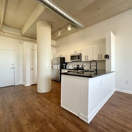 1 bedroom apartment for rent in Downtown Kansas City - KCMO, Kansas City