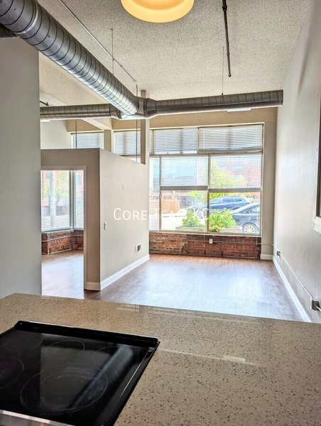 1 bedroom apartment for rent in Downtown Kansas City - KCMO, Kansas City