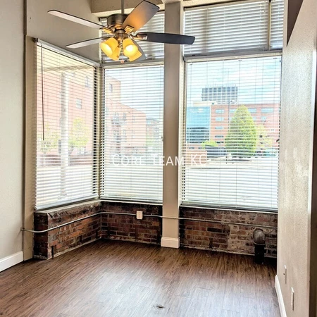 1 bedroom apartment for rent in Downtown Kansas City - KCMO, Kansas City