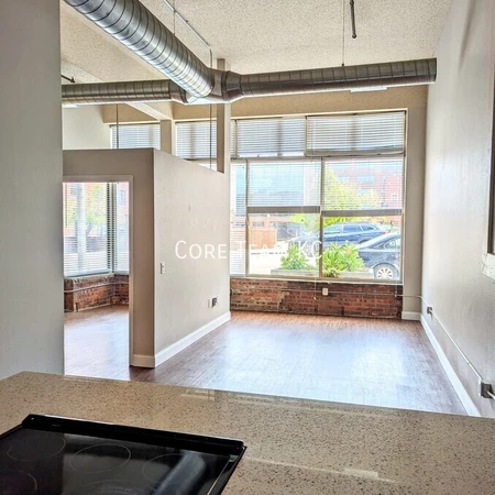 1 bedroom apartment for rent in Downtown Kansas City - KCMO, Kansas City
