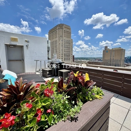 1 bedroom apartment for rent in Downtown Kansas City - KCMO, Kansas City