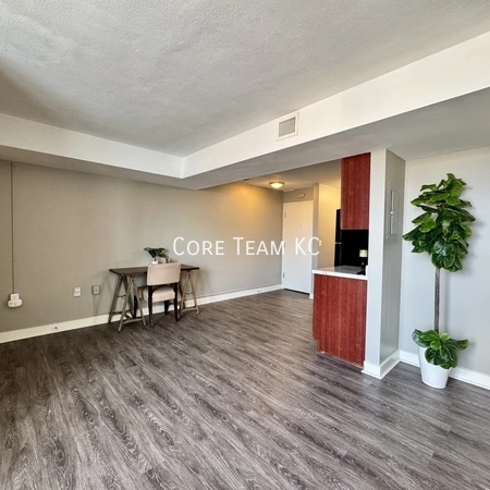 2 bedrooms apartment for rent in Downtown Kansas City - KCMO, Kansas City