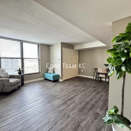 2 bedrooms apartment for rent in Downtown Kansas City - KCMO, Kansas City