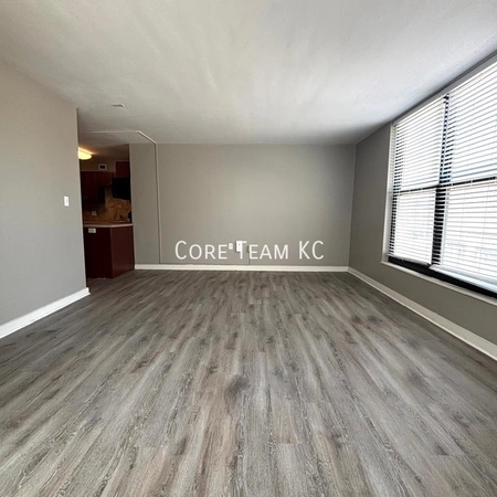 1 bedroom apartment for rent in Downtown Kansas City - KCMO, Kansas City